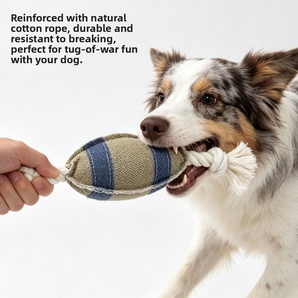 Rugby Training Ball - Bissfester Hunde-Kauknochen in Rugby-Form Interaktiver Hundebissball