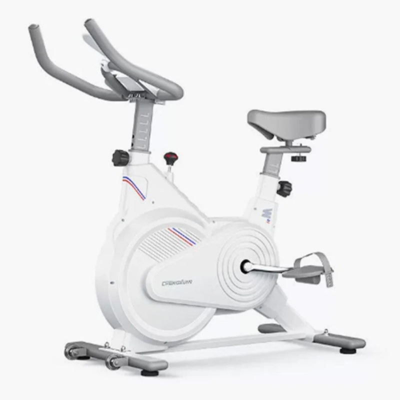 Sports Equipment Near Me - Stationäres Indoor-Spin-Bike, Geräuscharmes Magnetwiderstand-Trainingsfahrrad mit LCD-Monitor,