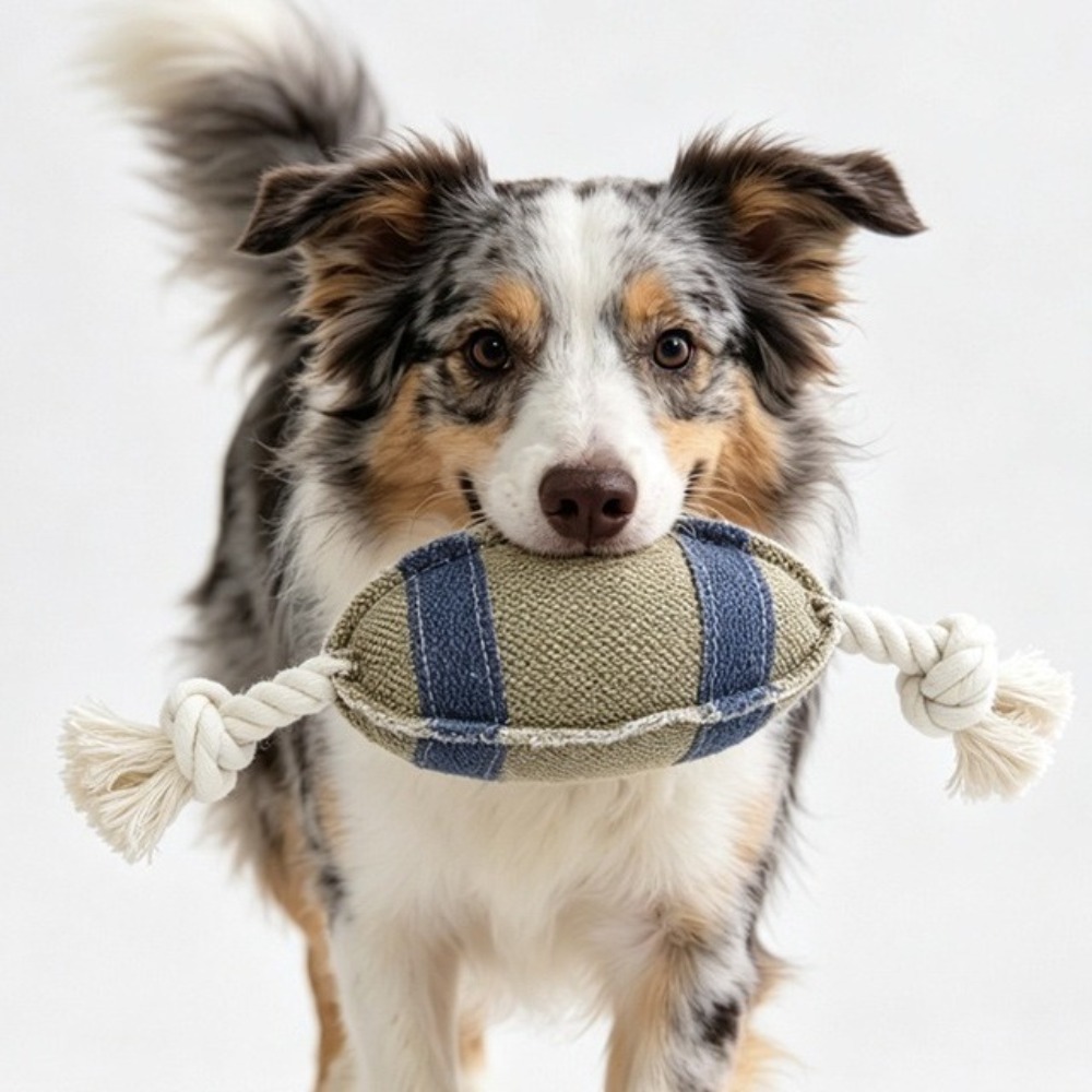 Bissfester Hunde-Kauknochen in – Rugby Training Ball Bewertung und Preis