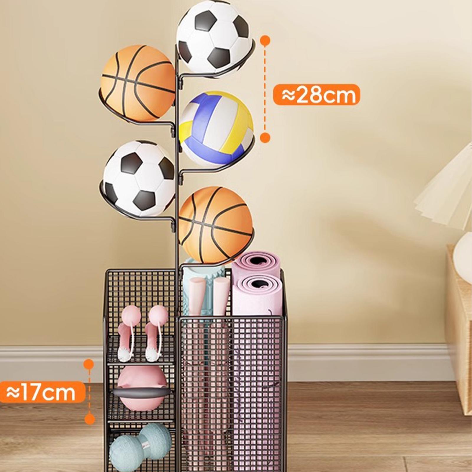 Vertikaler Basketball-Ausrüstu – Sports Equipment And Facilities Bewertung und Preis